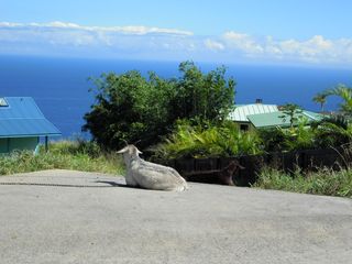 DSCN0435