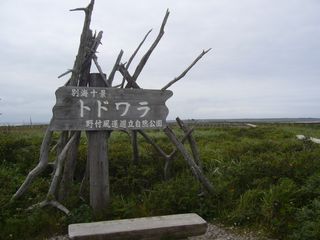 P1000607