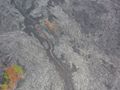 DSCN0236