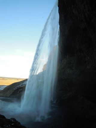DSCN1318