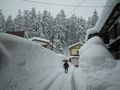 DSCN0929