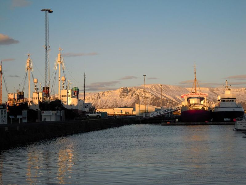 DSCN1332_R