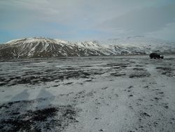 DSCN1282